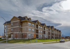 #216, 100 Cranfield Common SE, Calgary, 1 Bedroom Bedrooms, ,1 BathroomBathrooms,Condos/Townhouses,For Rent,Origins of Cranston,#216, 100 Cranfield Common SE,1893