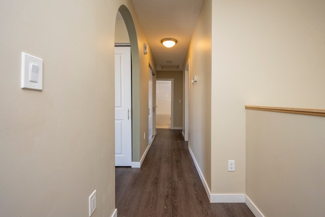 6031 Lacombe Way SW, Calgary, 4 Bedrooms Bedrooms, ,3 BathroomsBathrooms,Houses,For Rent,6031 Lacombe Way SW,1969