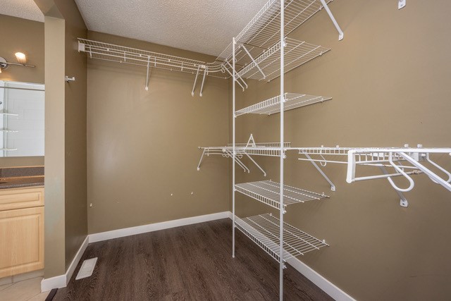 6031 Lacombe Way SW, Calgary, 4 Bedrooms Bedrooms, ,3 BathroomsBathrooms,Houses,For Rent,6031 Lacombe Way SW,1969