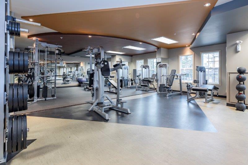 #4104, 11811 Lake Fraser Drive SE, CALGARY, 1 Bedroom Bedrooms, 0 ,1 BathroomBathrooms,Condos/Townhouses,For Rent,The Gateway South Centre,#4104, 11811 Lake Fraser Drive SE,0,2122 #4104, 11811 Lake Fraser Drive SE, CALGARY, 1 Bedroom Bedrooms, 0 ,1 BathroomBathrooms,Condos/Townhouses,For Rent,The Gateway South Centre,#4104, 11811 Lake Fraser Drive SE,0,2122