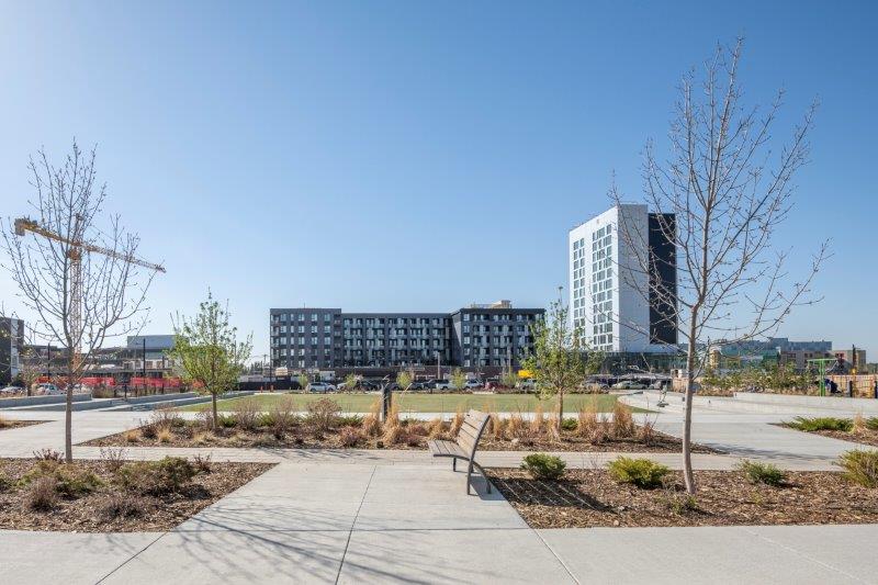 214, 4160 Norford Avenue Northwest, Calgary, 2 Bedrooms Bedrooms, ,2 BathroomsBathrooms,Condos/Townhouses,For Rent,Capella,214, 4160 Norford Avenue Northwest,2677