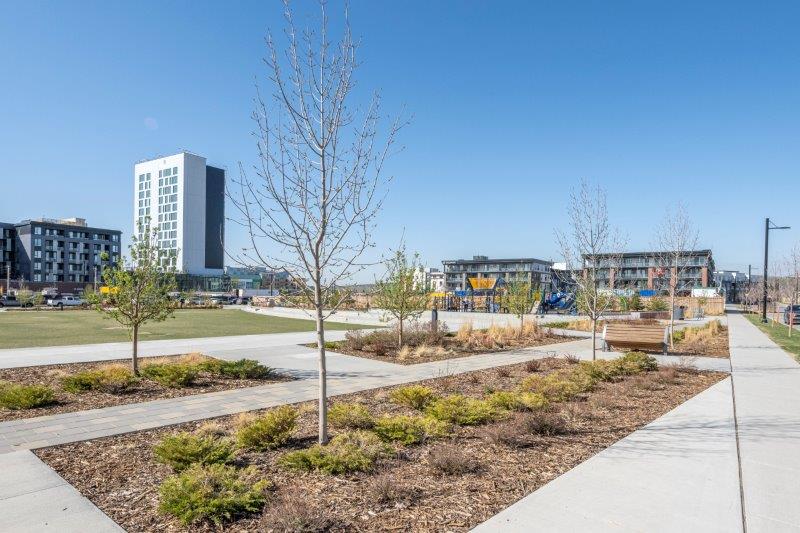214, 4160 Norford Avenue Northwest, Calgary, 2 Bedrooms Bedrooms, ,2 BathroomsBathrooms,Condos/Townhouses,For Rent,Capella,214, 4160 Norford Avenue Northwest,2677