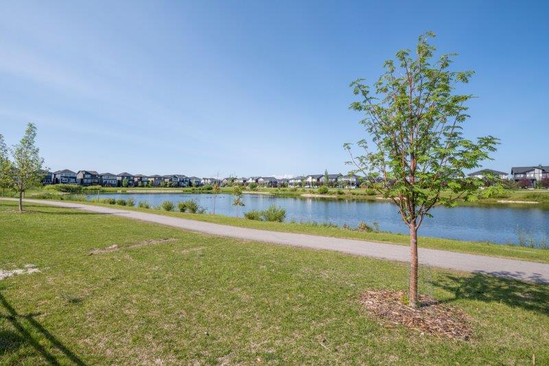75 Midgrove Drive SW, Airdrie, 3 Bedrooms Bedrooms, 0 ,2.5 BathroomsBathrooms,Houses,For Rent,75 Midgrove Drive SW,0,2716