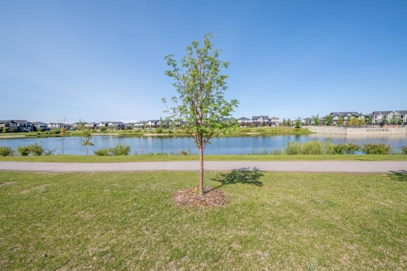 75 Midgrove Drive SW, Airdrie, 3 Bedrooms Bedrooms, 0 ,2.5 BathroomsBathrooms,Houses,For Rent,75 Midgrove Drive SW,0,2716