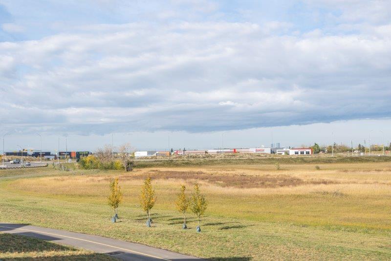 140 Belvedere Dr SE, Calgary, 3.5 Bedrooms Bedrooms, 0 ,2 BathroomsBathrooms,Houses,For Rent,140 Belvedere Dr SE,0,2769