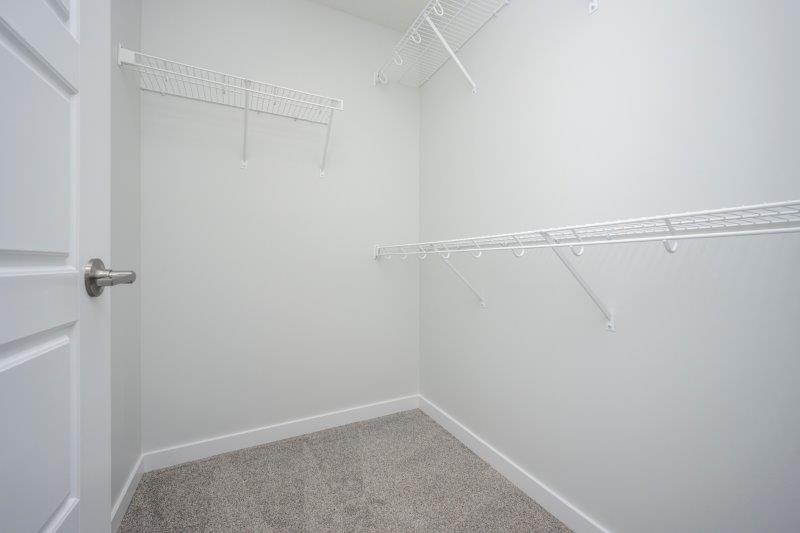 387A Magnolia Dr SE, Calgary, 3 Bedrooms Bedrooms, ,2.5 BathroomsBathrooms,Houses,For Rent,387A Magnolia Dr SE,2831