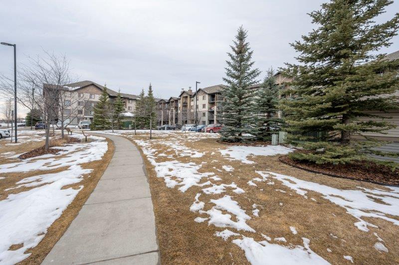 2214, 8 Bridlecrest Drive SW, Calgary, 1 Bedroom Bedrooms, 0 ,1 BathroomBathrooms,Condos/Townhouses,For Rent,Bridleview Pointe,2214, 8 Bridlecrest Drive SW,0,2943