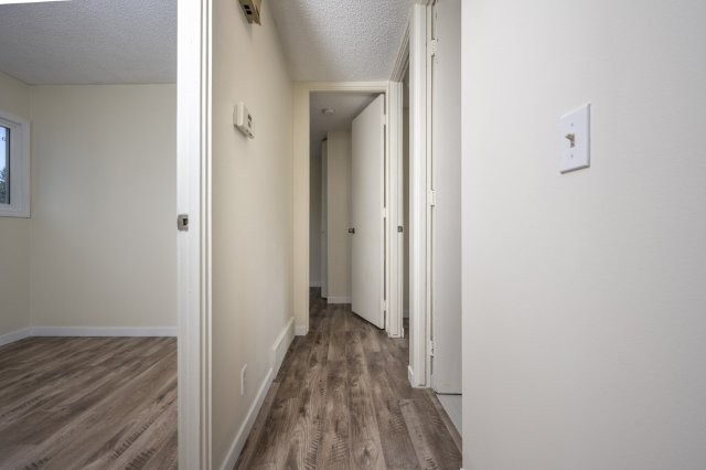 718 Olympia Drive SE, Calgay, 3 Bedrooms Bedrooms, 0 ,1 BathroomBathrooms,Houses,For Rent,0,3229