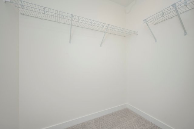 205, 1862 Cornerstone Blvd NE, Calgary, 4 Bedrooms Bedrooms, 0 ,2 BathroomsBathrooms,Condos/Townhouses,For Rent,0,3230