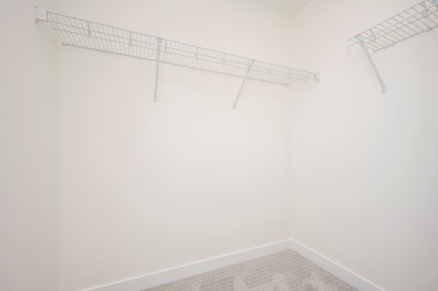 1862 Cornerstone Boulevard Northeast, Calgary AB, Calgary, 4 Bedrooms Bedrooms, 0 ,2 BathroomsBathrooms,Condos/Townhouses,For Rent,0,3264
