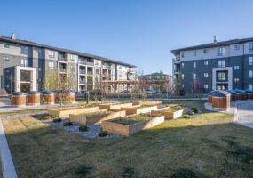 4310, 740 Legacy Village Road SE, Calgary, 1 Bedroom Bedrooms, 0 ,1 BathroomBathrooms,Condos/Townhouses,For Rent,Legacy Park II,4310, 740 Legacy Village Road SE,0,3328 4310, 740 Legacy Village Road SE, Calgary, 1 Bedroom Bedrooms, 0 ,1 BathroomBathrooms,Condos/Townhouses,For Rent,Legacy Park II,4310, 740 Legacy Village Road SE,0,3328