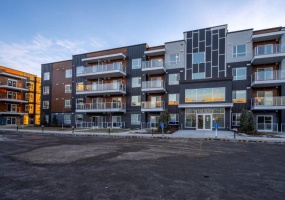 3111, 550 Belmont Street Southwest, Calgary, 1 Bedroom Bedrooms, 0 ,1 BathroomBathrooms,Condos/Townhouses,For Rent,Belmont Plaza,3111, 550 Belmont Street Southwest,0,3352