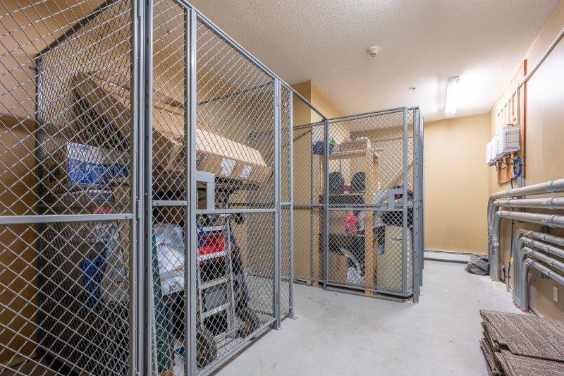 112, 2420 34 Avenue SW, Calgary, 1 Bedroom Bedrooms, 0 ,1 BathroomBathrooms,Condos/Townhouses,For Rent,The Dream,112, 2420 34 Avenue SW,0,3353