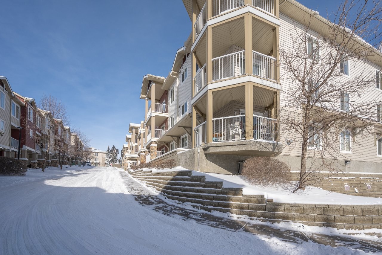 8303, 70 Panamount Dr NW, Calgary, 1 Bedroom Bedrooms, 0 ,0,Condos/Townhouses,For Rent,Panamount Place,8303, 70 Panamount Dr NW ,0,3381
