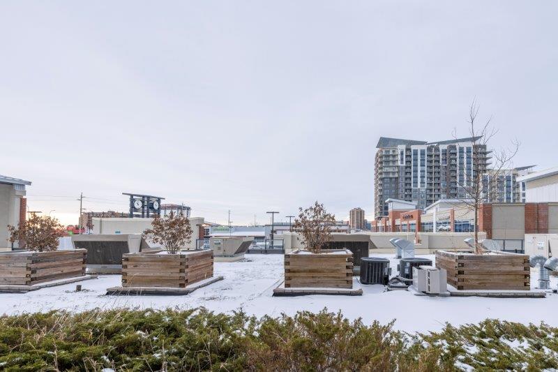 708, 8710 Horton Rd SW, Calgary, 2 Bedrooms Bedrooms, 0 ,2 BathroomsBathrooms,Condos/Townhouses,For Rent,London Dominion,708, 8710 Horton Rd SW,0,1678