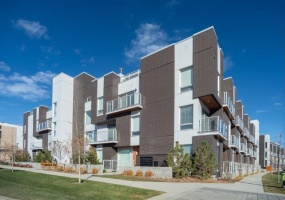 #317, 3130 Thirsk Street NW, Calgary, 1 Bedroom Bedrooms, ,1 BathroomBathrooms,Condos/Townhouses,Rented,Noble,#317, 3130 Thirsk Street NW,1758