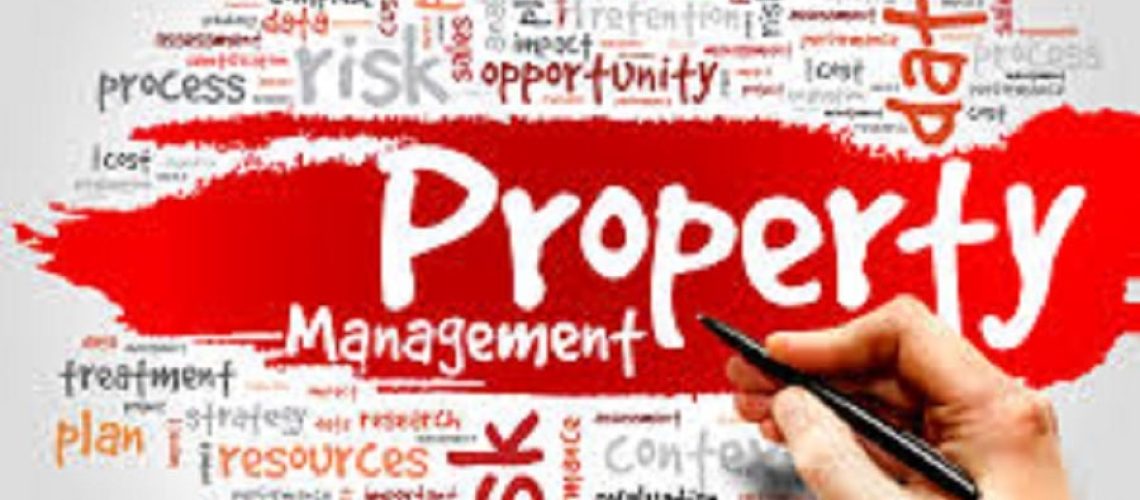 Property Management Company VS. Self Managing